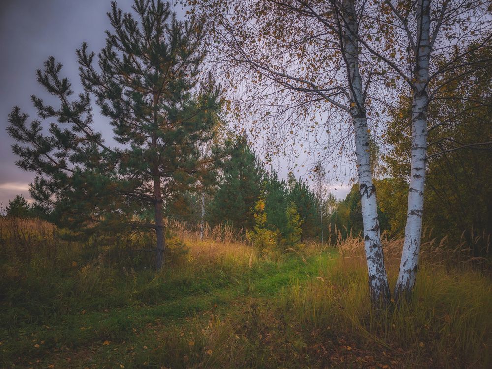 Photograph by Кирилл Сидоров