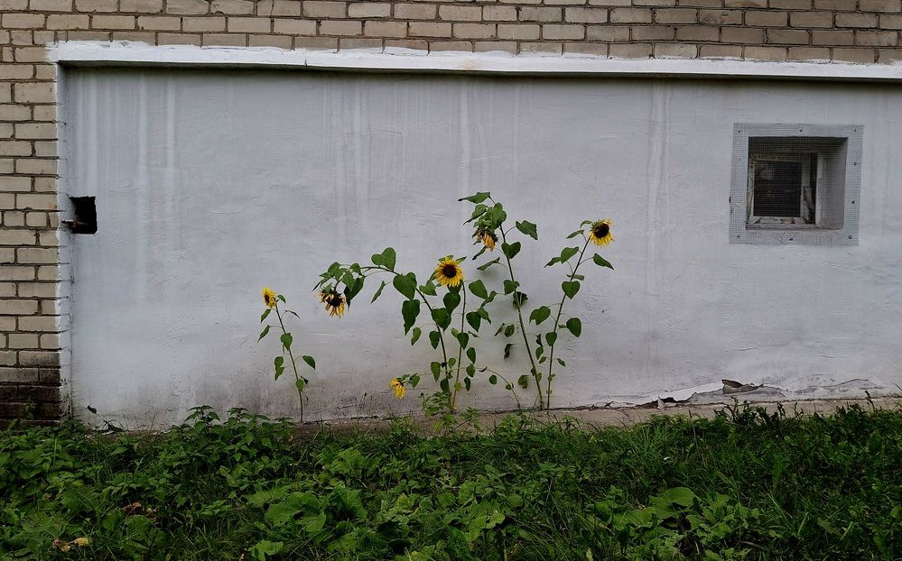 Photograph by Ирина Саттарова