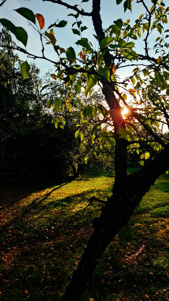 Photograph by Анна Швецова