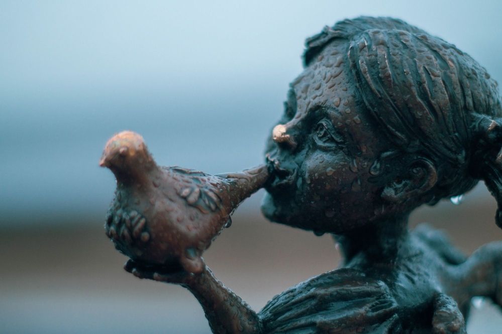 Фотография автора Евгений Шубин