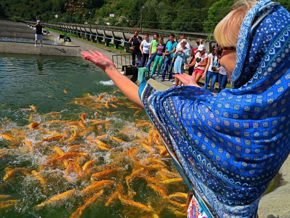 Повелительница рыб
