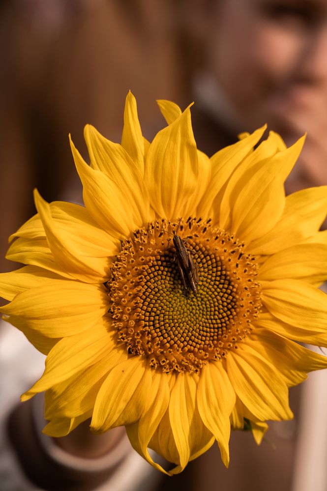 Photograph by Елизавета Кириллова