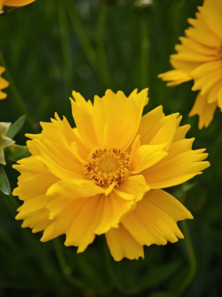 Photograph by Алексей Юдин