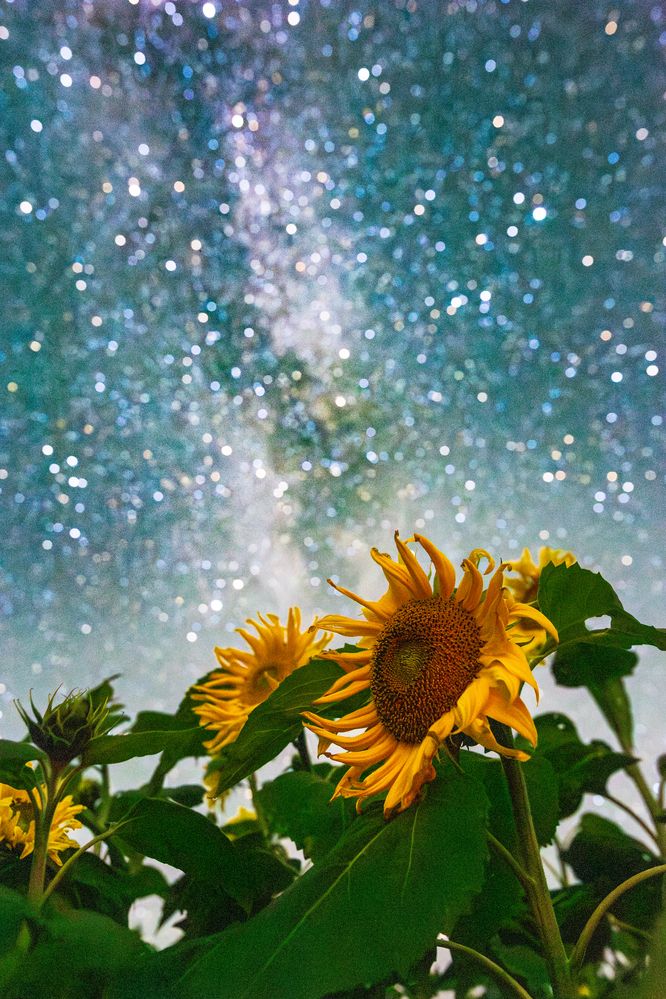 Photograph by Andres Papp