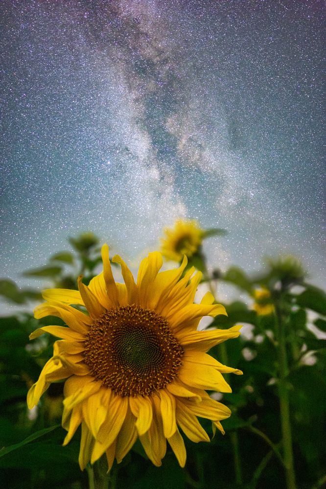 Photograph by Andres Papp