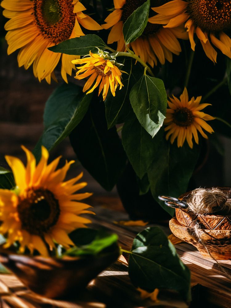 Photograph by Татьяна Гуцанович