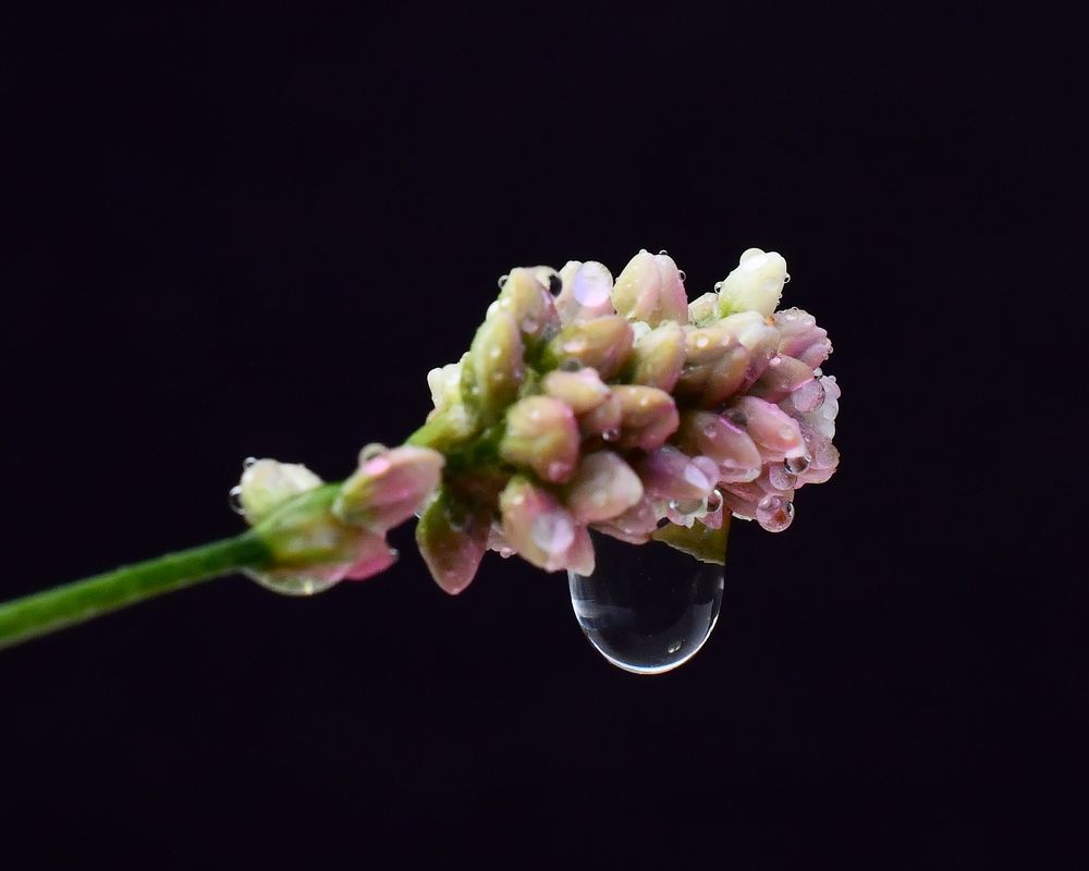 Photograph by Николай Абакумов