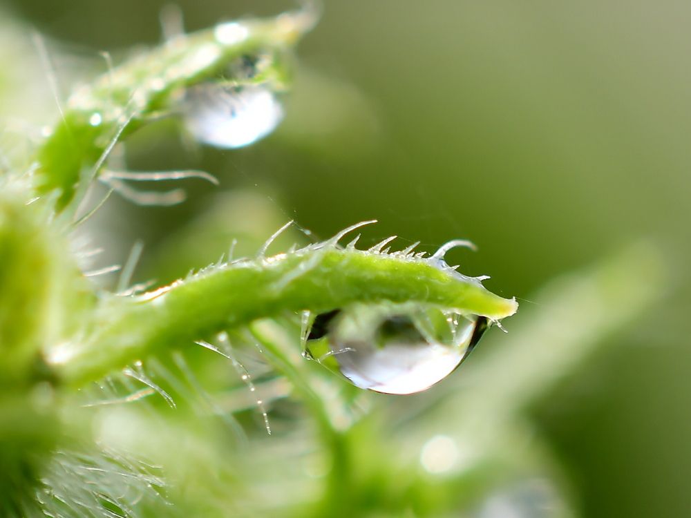 Photograph by Николай Абакумов