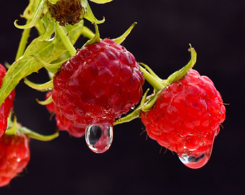 Photograph by Николай Абакумов