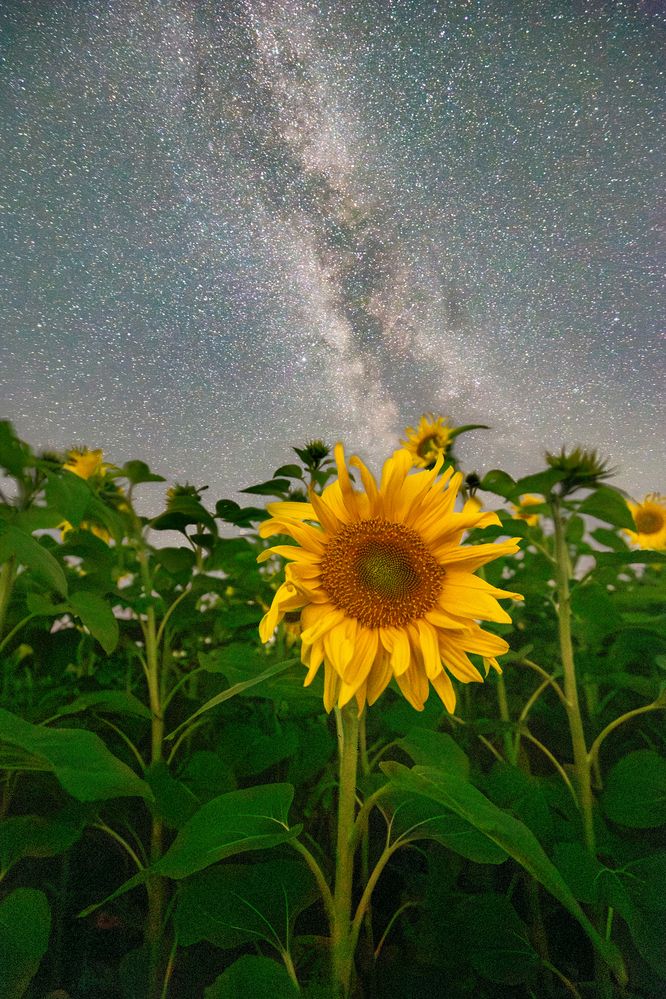 Photograph by Andres Papp