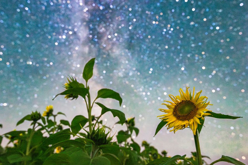 Photograph by Andres Papp