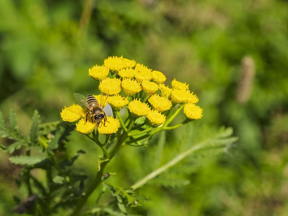 Photograph by Борис Полтавец