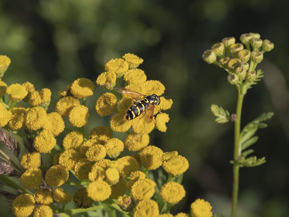 Photograph by Борис Полтавец