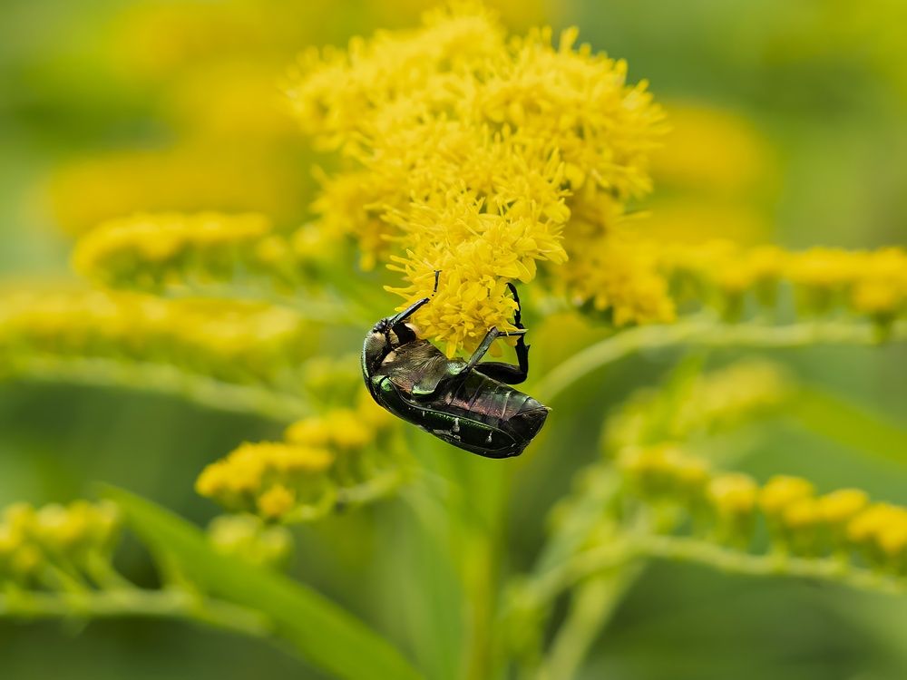 Photograph by Борис Полтавец