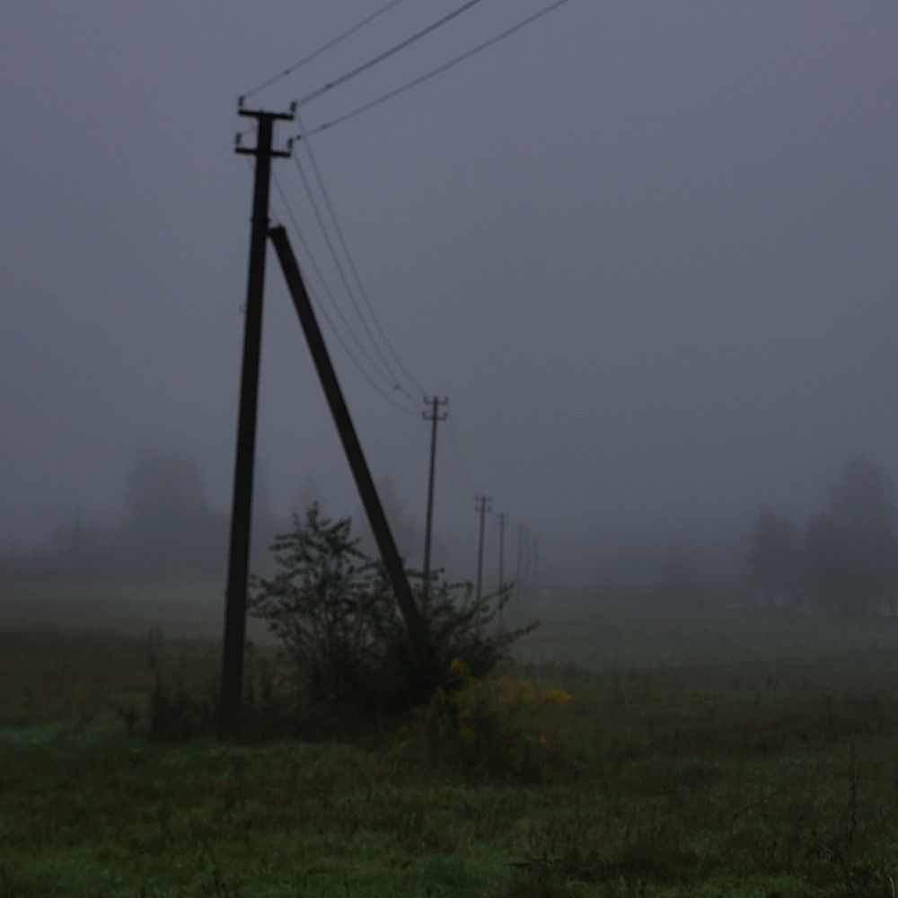 Photo #12605749