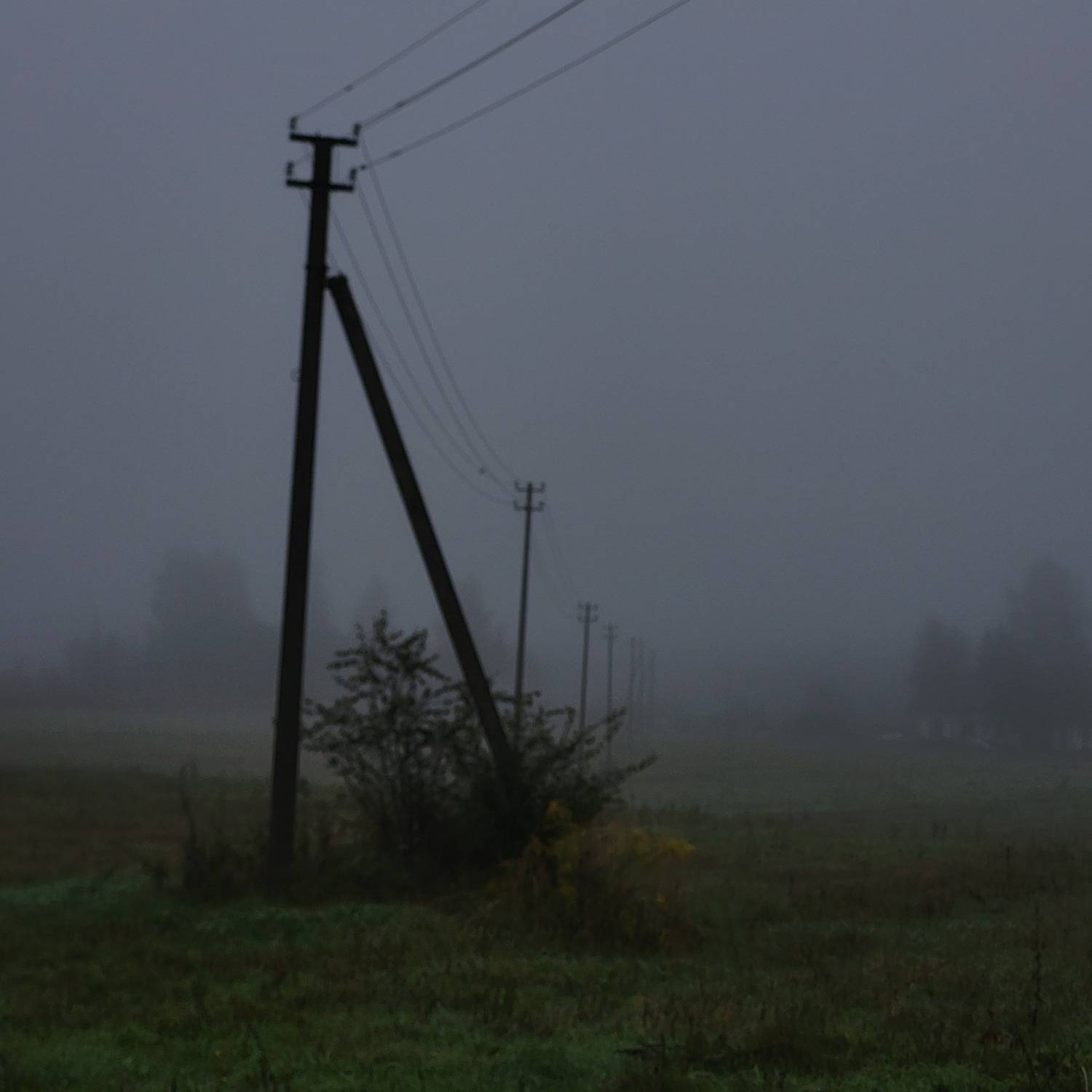 Photo #12605749