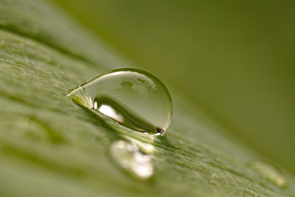 Photograph by Алфия Бугакова