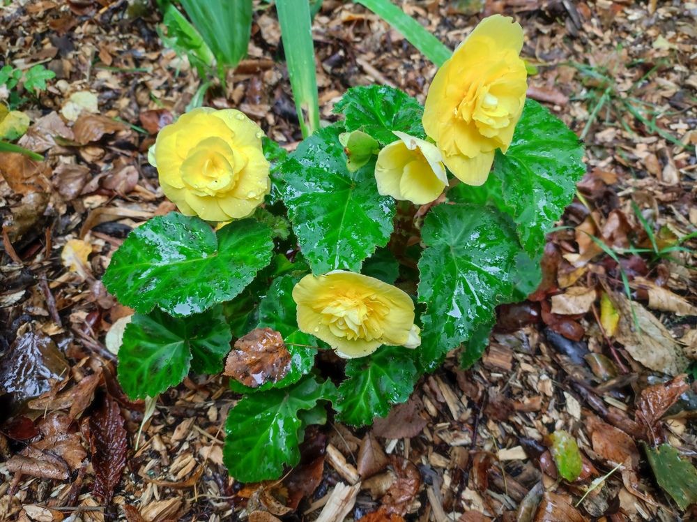 Photograph by Марийона Савоненко