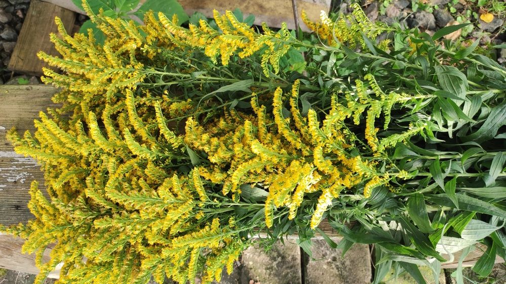 Photograph by Марийона Савоненко