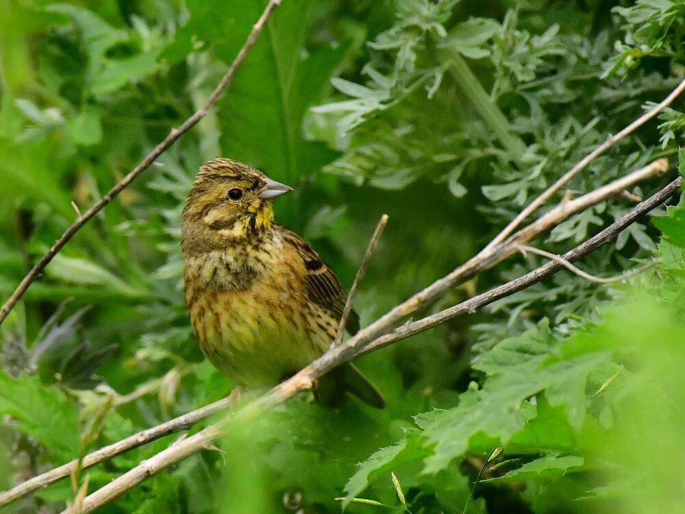 Photograph by Николай Абакумов