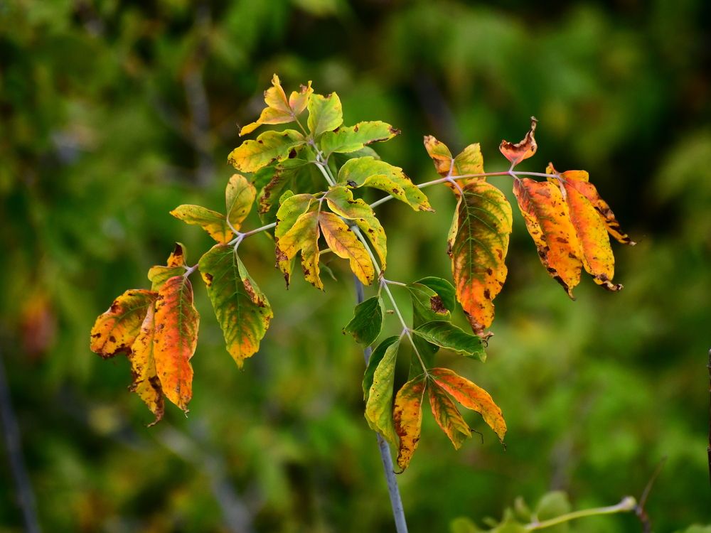 Photograph by Николай Абакумов