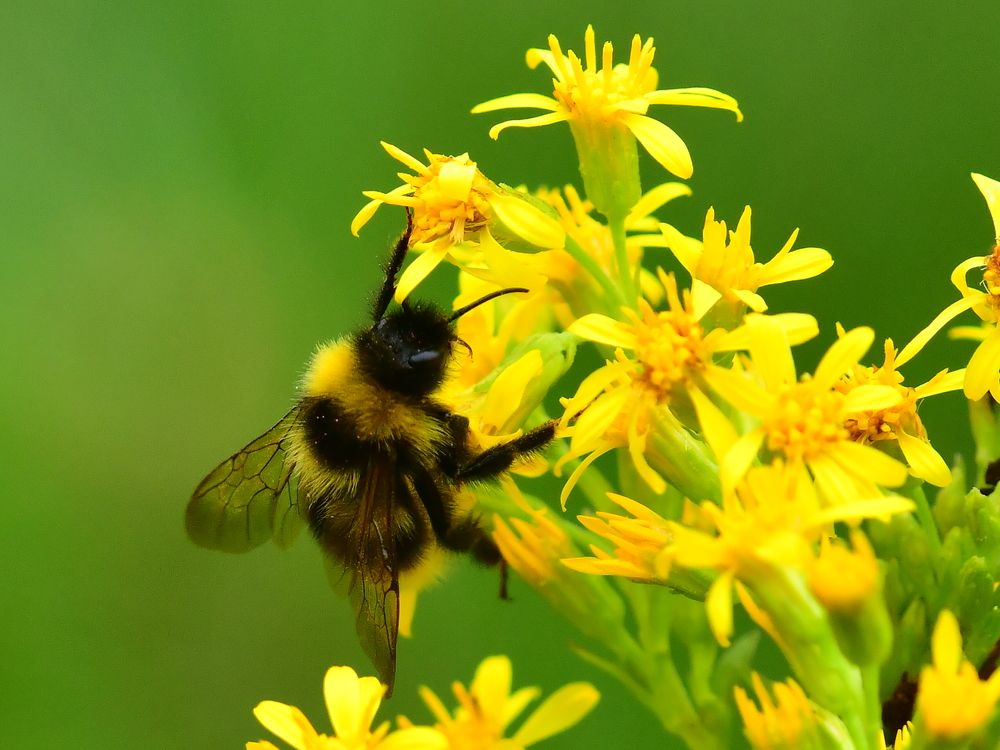 Photograph by Николай Абакумов