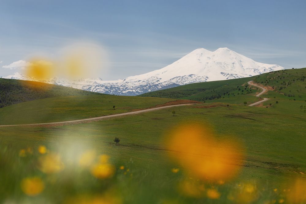 Photograph by Ekaterina Romanova