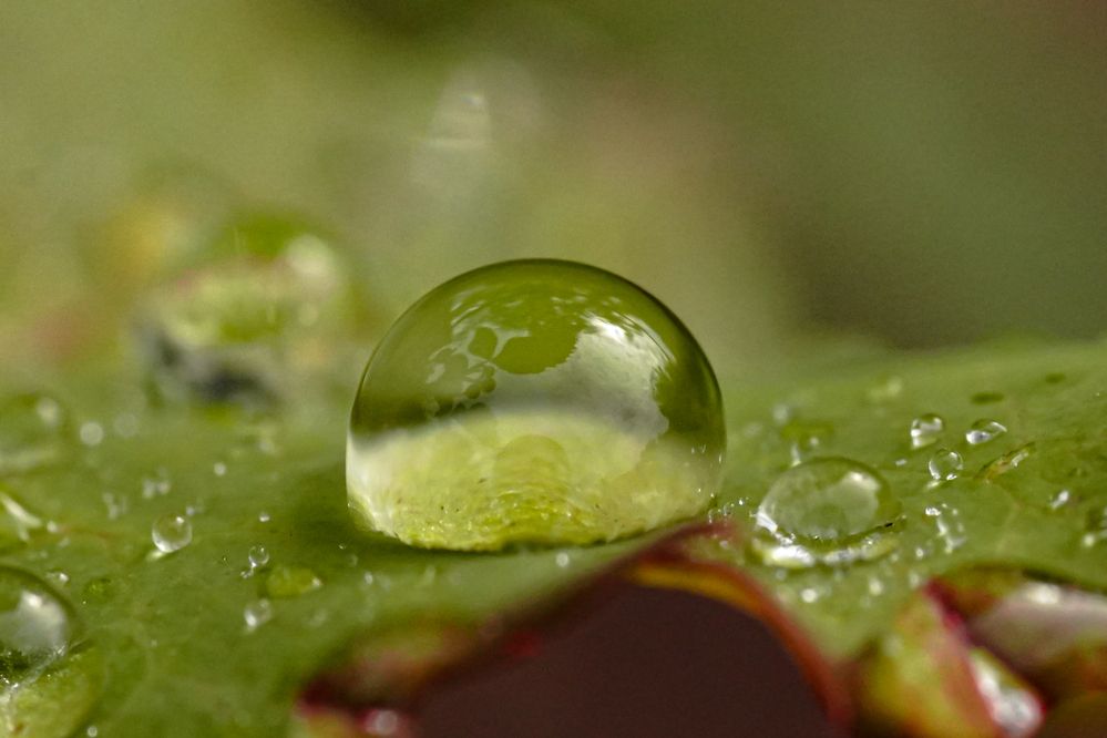 Photograph by Алфия Бугакова