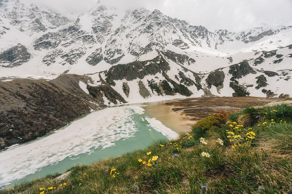 Photograph by Ekaterina Romanova