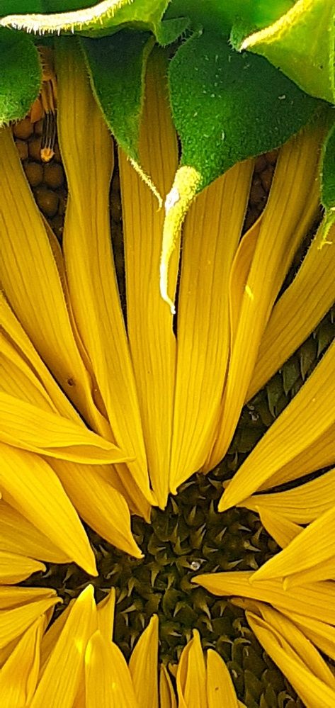 Photograph by Евгения Ульянова