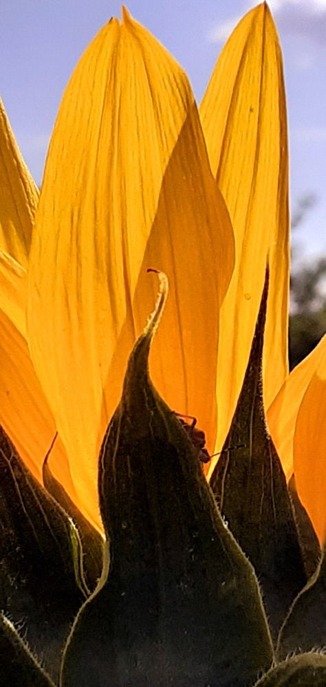 Photograph by Евгения Ульянова