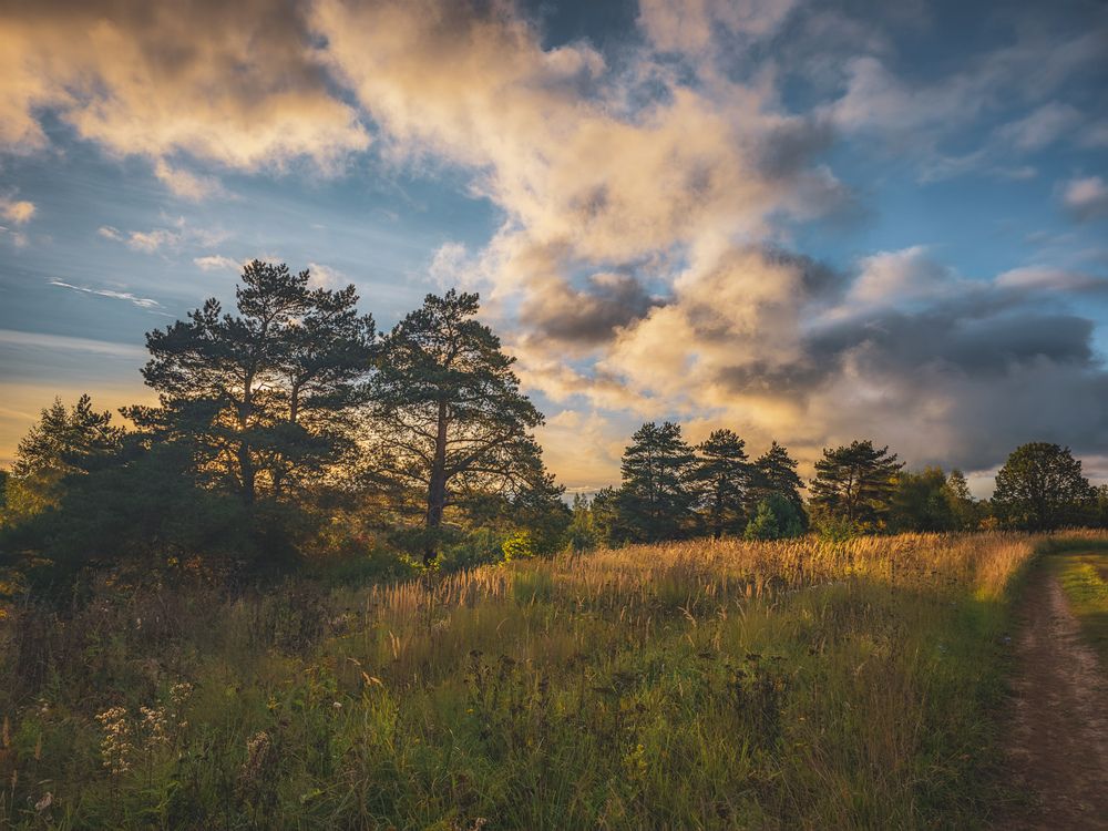 Photograph by Кирилл Сидоров