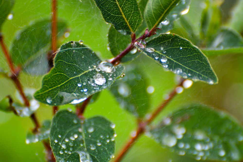 Photograph by Анастасия Гурова