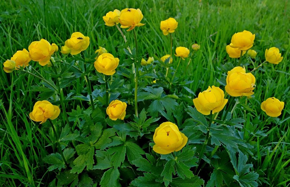 Photograph by Виктор Решетников