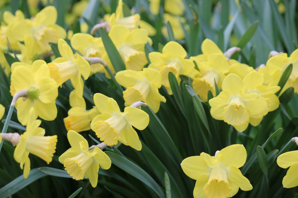 Photograph by Анастасия Свиридова