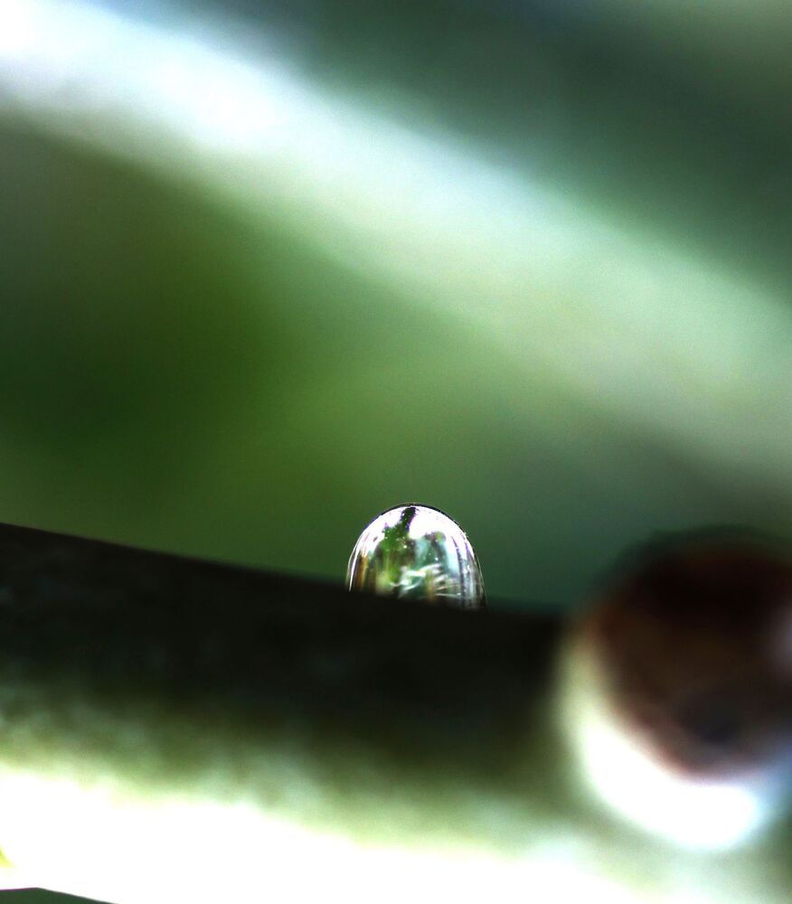 Photograph by Merav Zuberman Perkal