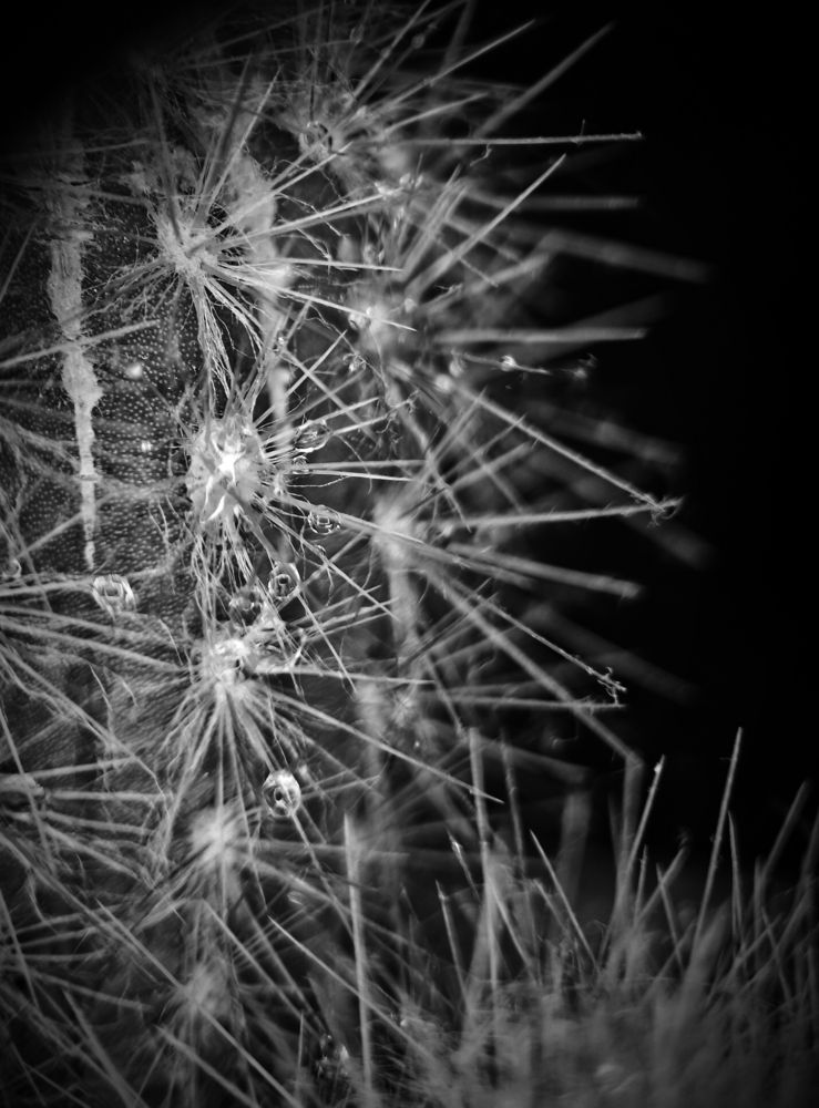 Photograph by Марина Опарина