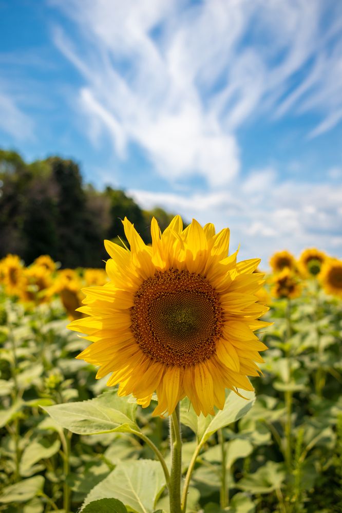 Photograph by Андрей