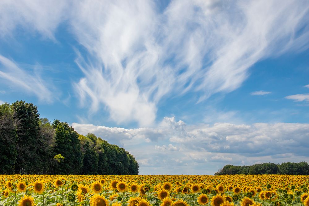 Photograph by Андрей
