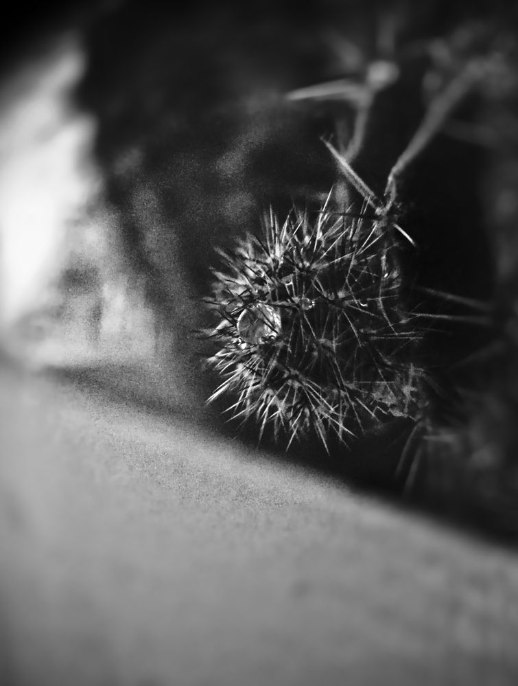 Photograph by Марина Опарина