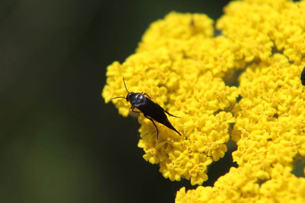 Photograph by Yordanka Vasileva