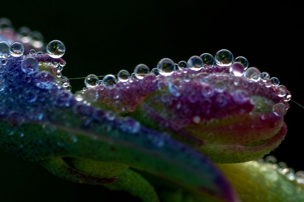 Photograph by Михаил Косолапов