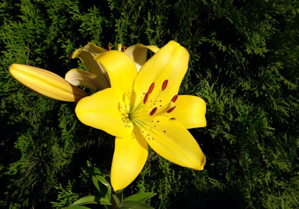 Photograph by Виктор Решетников