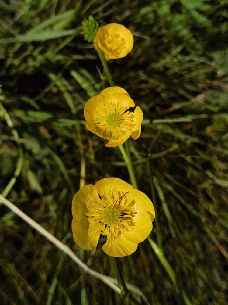 Photograph by Наталья Лощилина