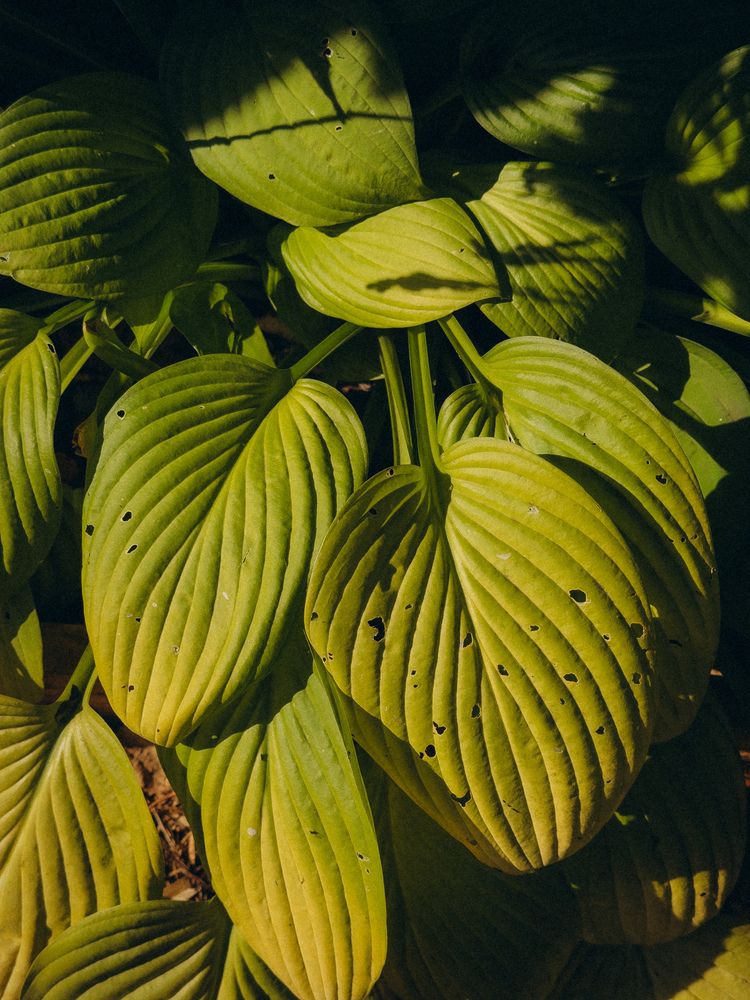 Photograph by Алёна Горошко