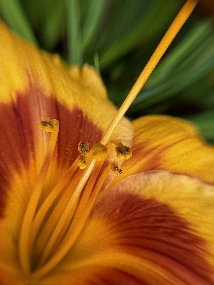 Photograph by Жанна Колесникова