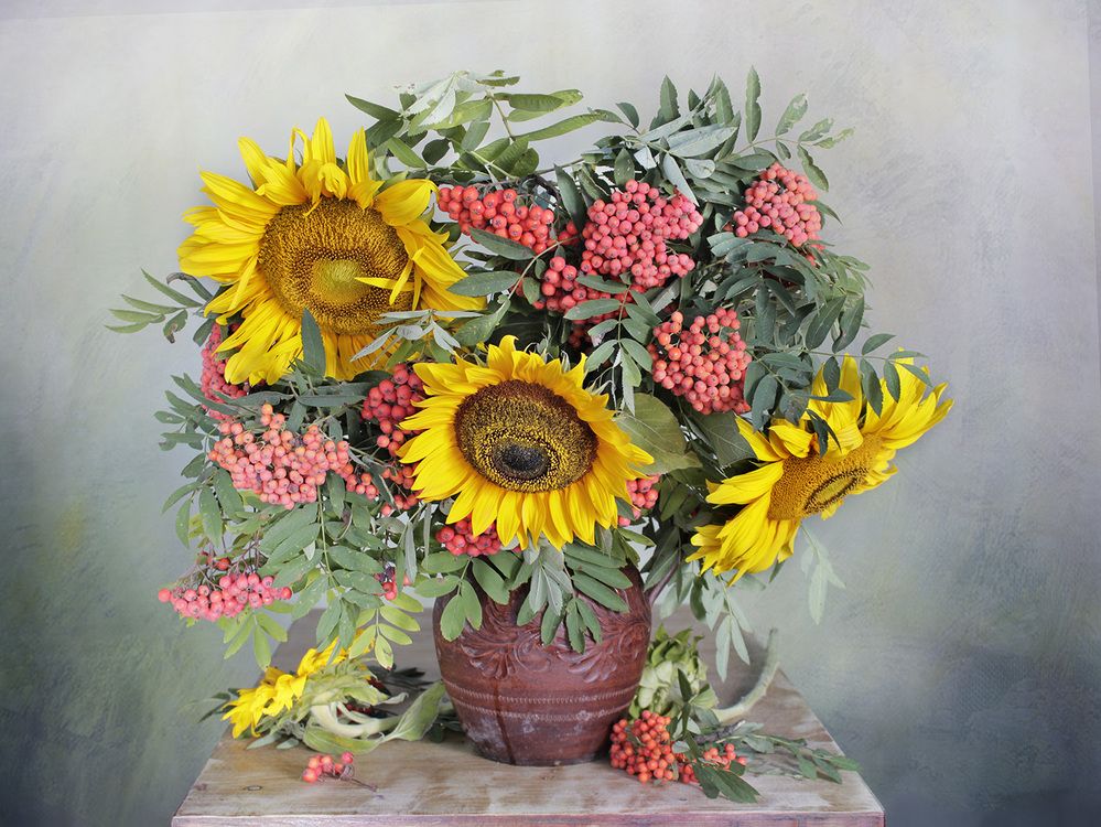 Photograph by Вера  Павлухина