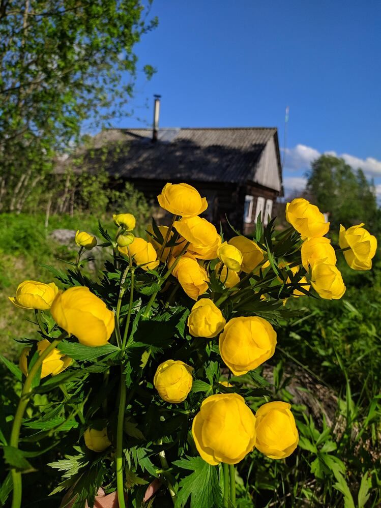 Фотография автора Олеся