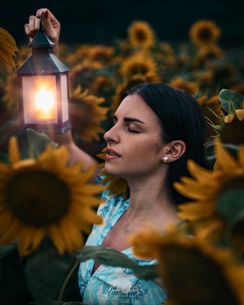 Photograph by Mirko Zuccarello