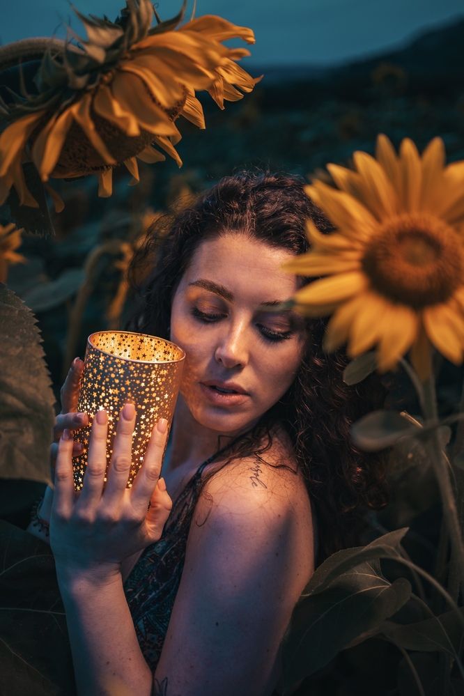 Photograph by Mirko Zuccarello